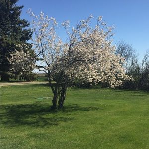 Meet your Posher, Larissa